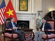 Vietnam - U.S. ties look towards new heights based on mutual understanding, trust: Ambassador